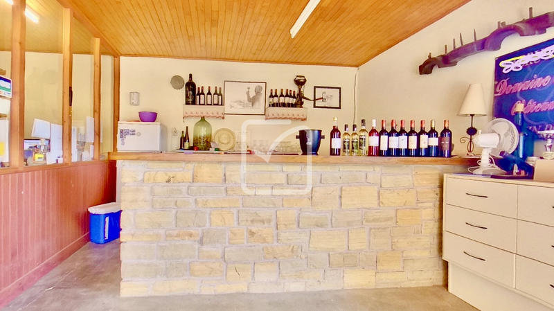 Maison - 250 m² - 17 pièces