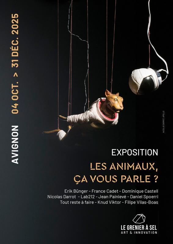 Les animaux ça vous parle ?