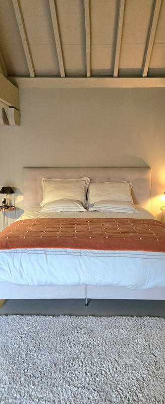 Loft - 350 m² - 10 pièces