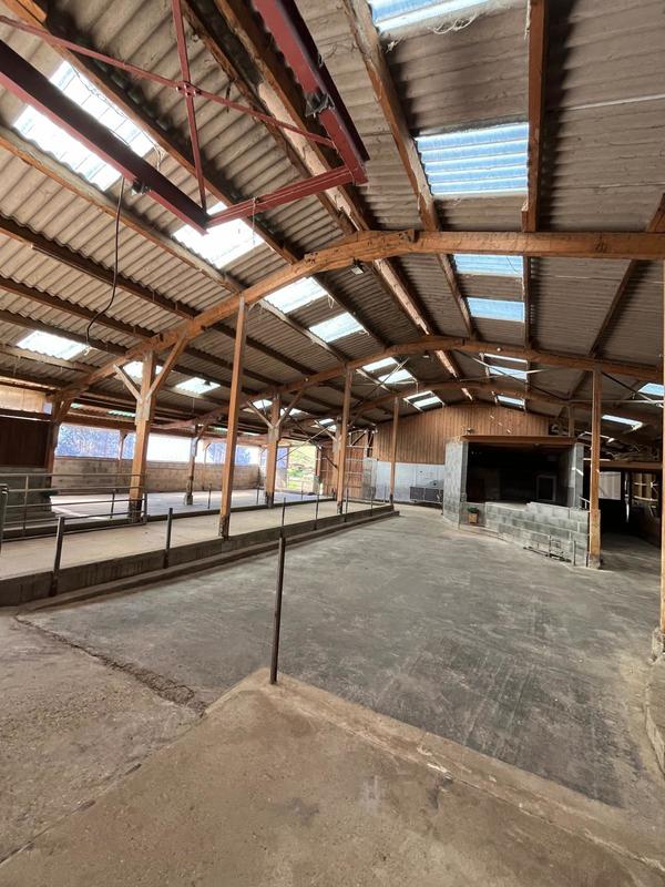 Local commercial - 550 m²