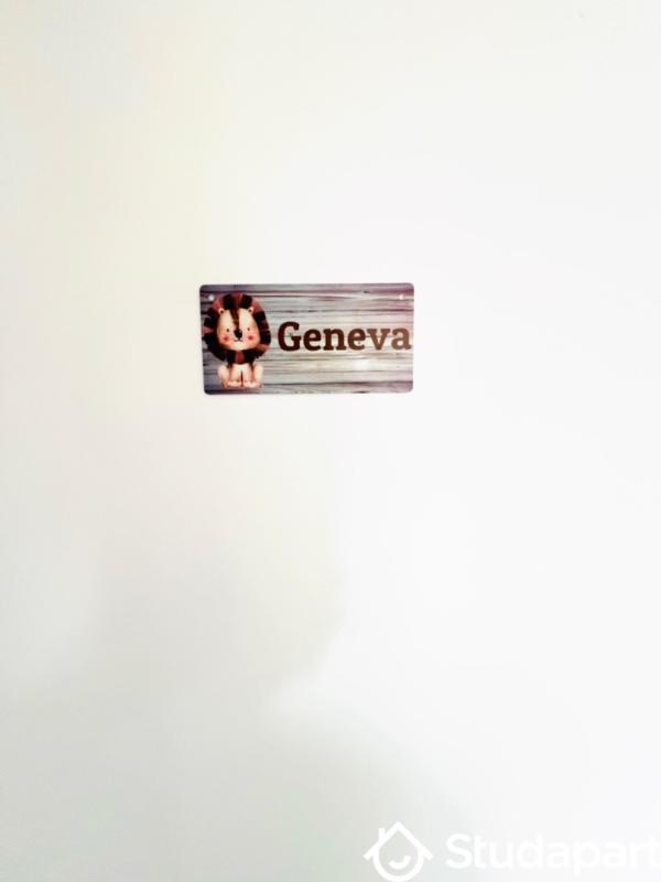 Appartement - 24 m² - 1 pièce