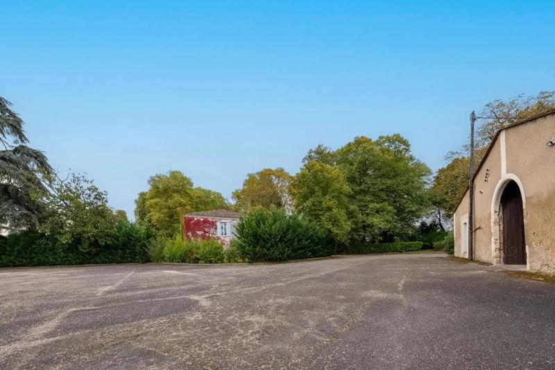 Château - 600 m² - 12 pièces