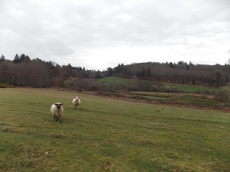 Corps de ferme - 110 m² - 5 pièces