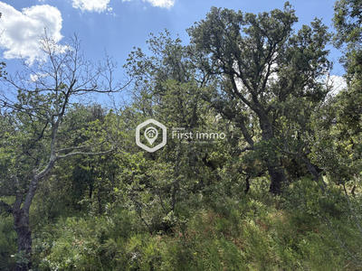 Terrain de loisirs - 6 835 m²