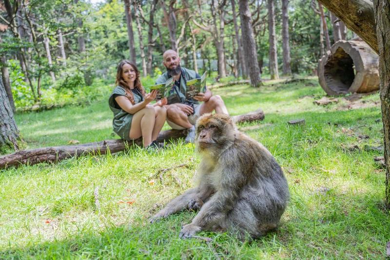 Visite privée et petit déjeuner avec les singes
