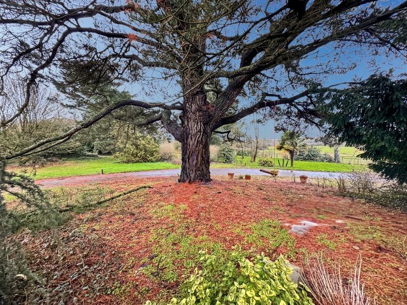 Maison - 310 m² - 10 pièces