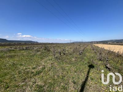 Terrain agricole - 9 795 m²