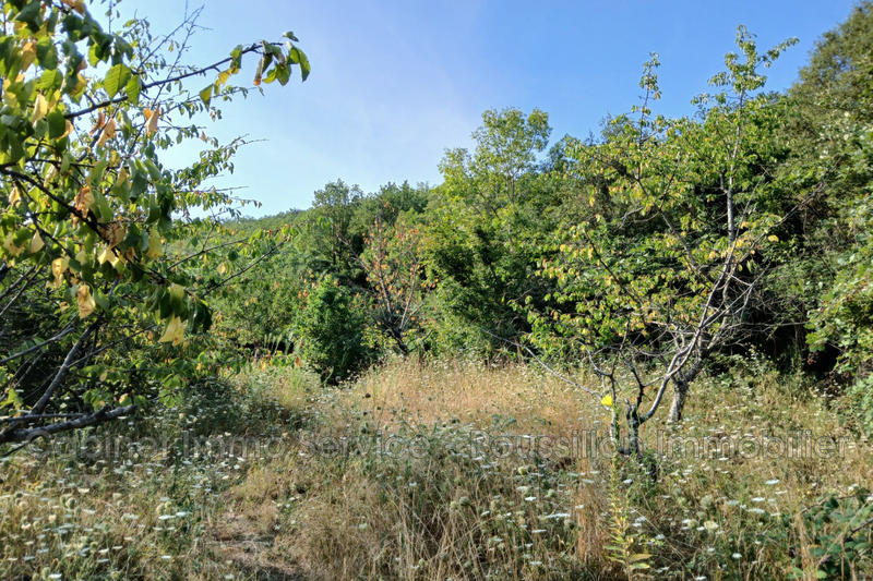 Terrain agricole - 1 968 m²