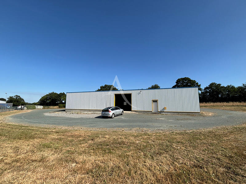 Local d'activité / Entrepôt - 405 m²