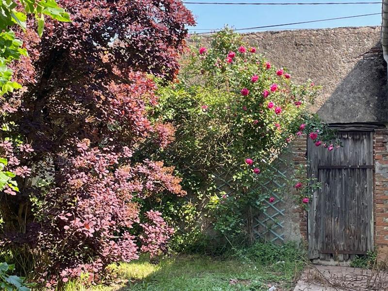 Maison - 250 m² - 6 pièces