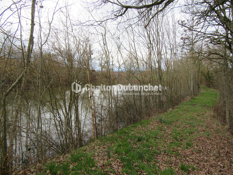 Terrain de loisirs - 17 000 m²