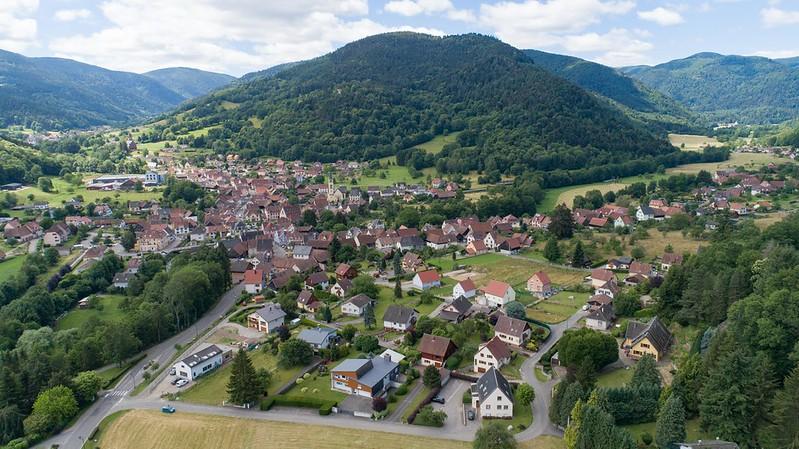 Journée internationale des forêts – a la découverte de la forêt - Jeux de pistes