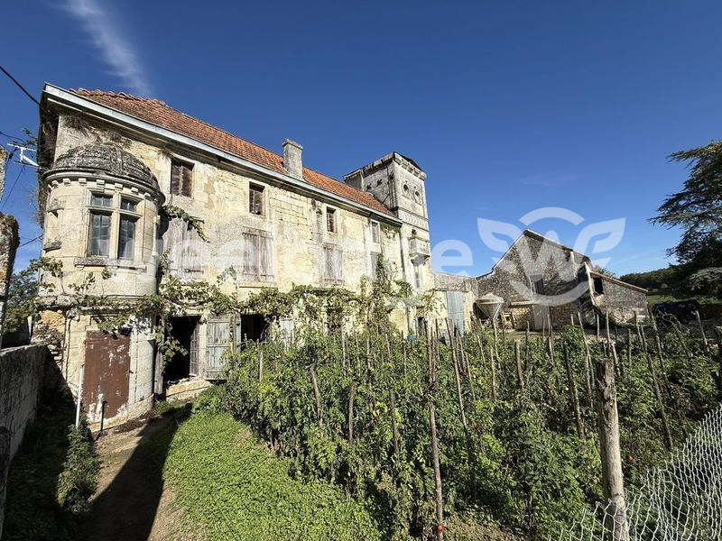 Maison ancienne - 536 m² - 11 pièces