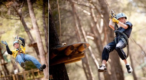 Le Royaume des Arbres