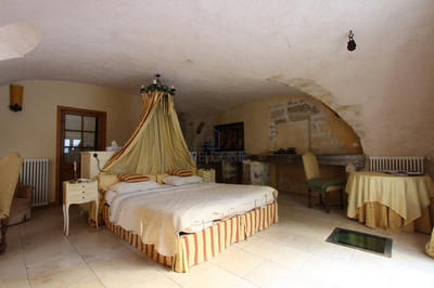 Maison - 530 m² - 11 pièces