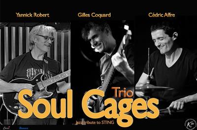 Soul Cages Trio &quot;Jazz tribute to Sting&quot;