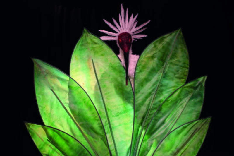 L'envolée de Shemza