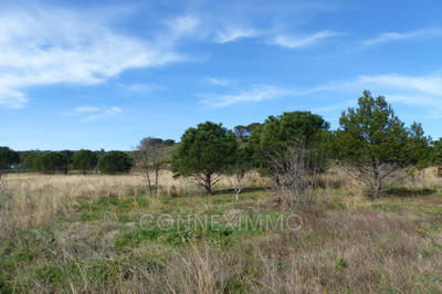 Terrain agricole - 12 250 m²