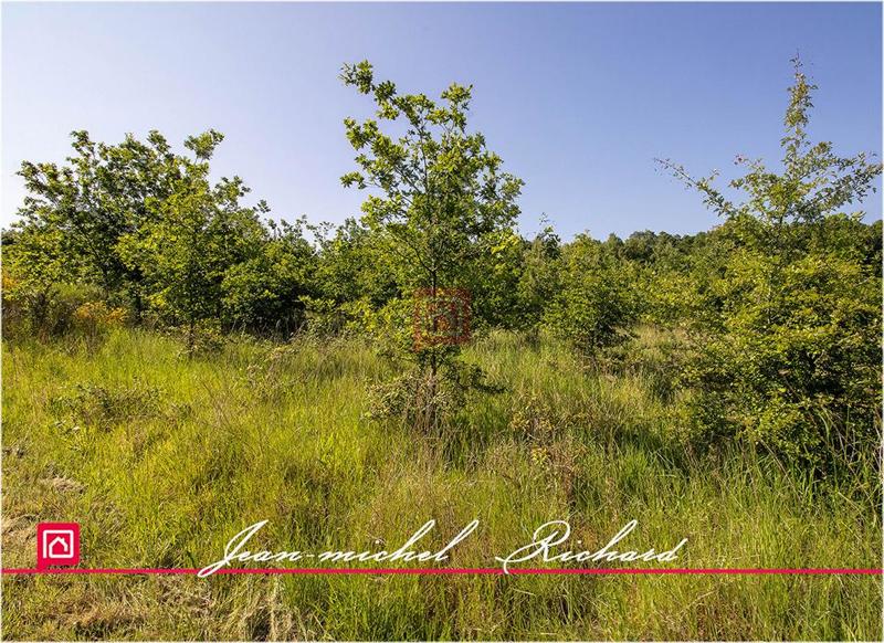 Terrain de loisirs - 101 030 m²