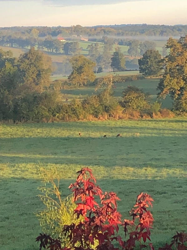 Maison - 243 m² - 7 pièces