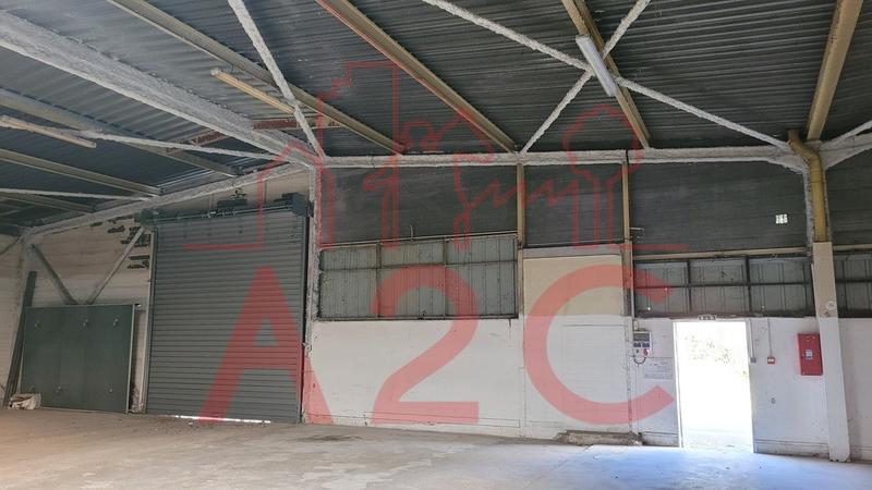 Local d'activité / Entrepôt - 1 126 m²