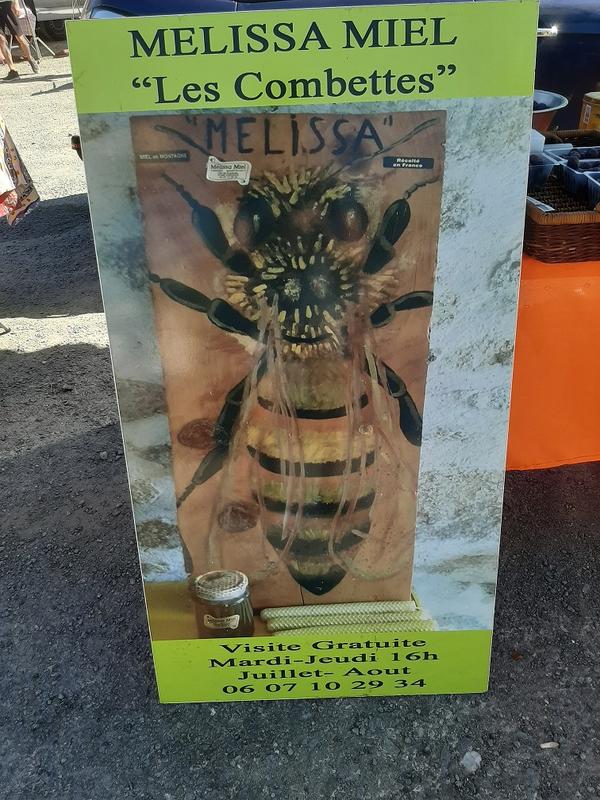 Melissa Miel, visite gratuite chez un apiculteur