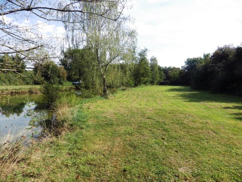 Terrain - 12 496 m²