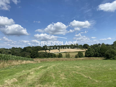 Terrain - 17 195 m²