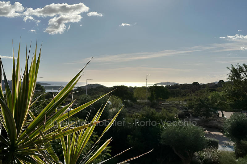 Appartement - 67 m² - 2 pièces