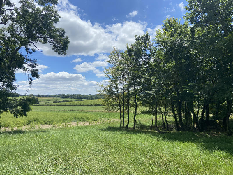 Maison - 180 m² - 5 pièces