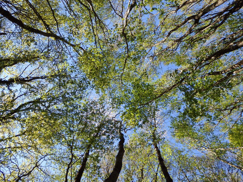 Journée biodiversité