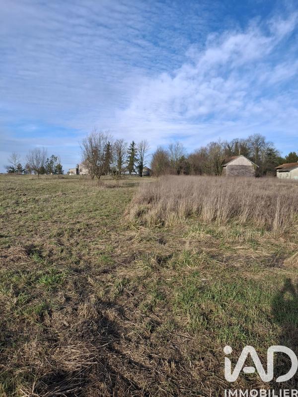 Terrain - 10 024 m²