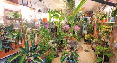 Fonds de commerce - Magasins - 39 m²