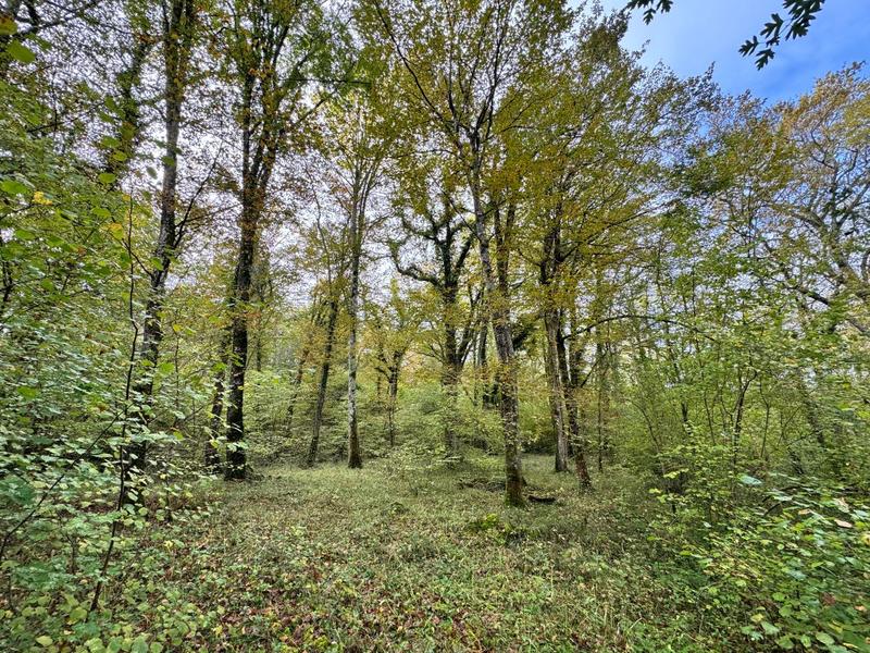 Terrain - 82 016 m²