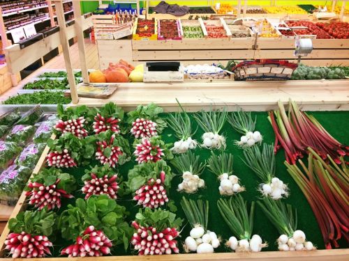 La halle de Gradignan