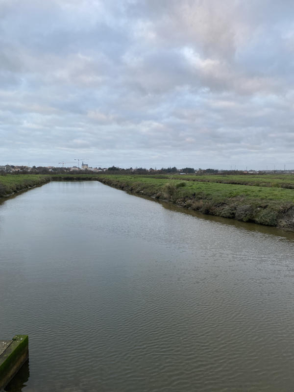 Terrain - 20 443 m²