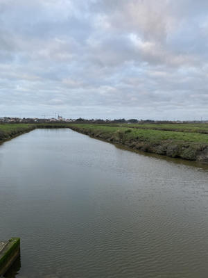 Terrain - 20 443 m²