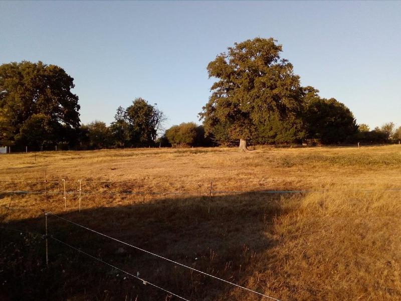 Terrain constructible - 708 m²