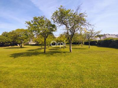 Terrain constructible - 1 500 m²