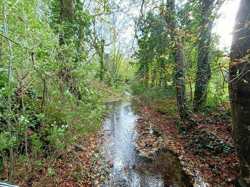 Maison - 369 m² - 10 pièces