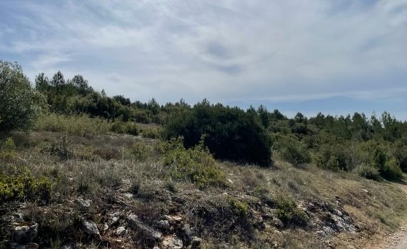 Maison - 191 m² - 7 pièces