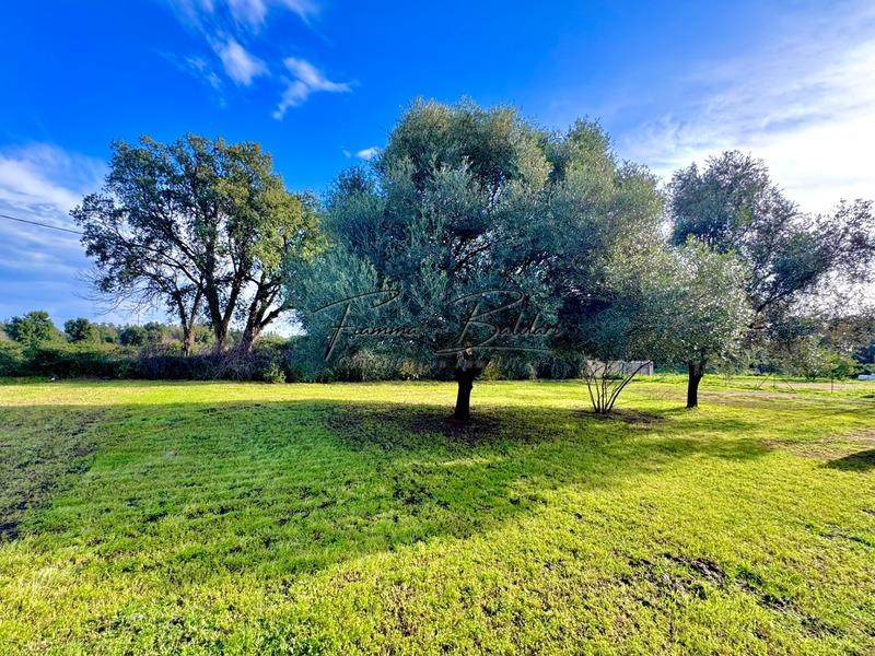 Maison - 206 m² - 7 pièces