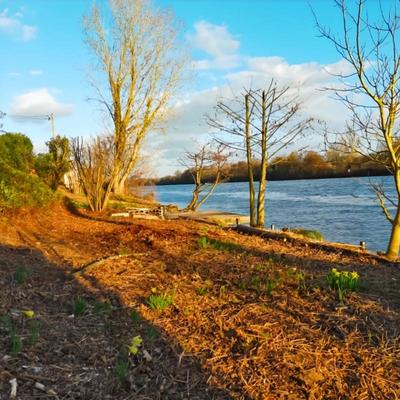 Maison - 211 m² - 7 pièces