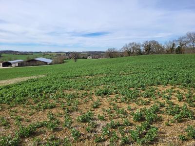 Terrain constructible - 1 102 m²