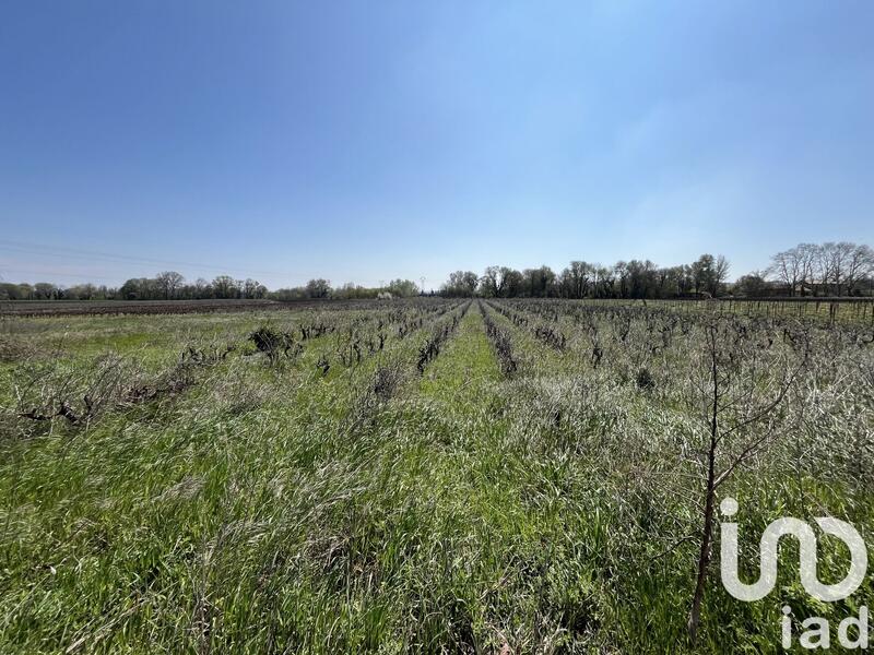 Terrain agricole - 11 765 m²