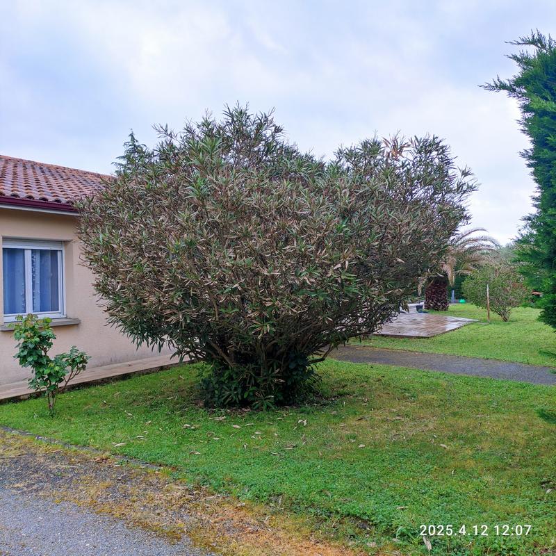 Maison traditionnelle - 166 m² - 5 pièces