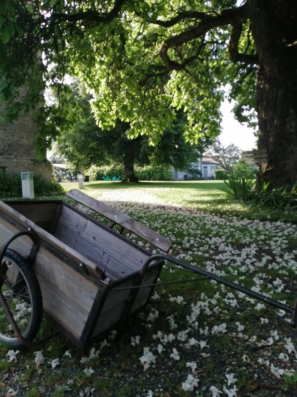 Maison de domaine - 400 m² - 50 pièces