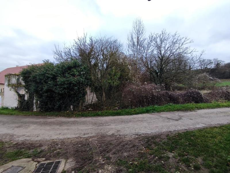 Maison - 131 m² - 5 pièces