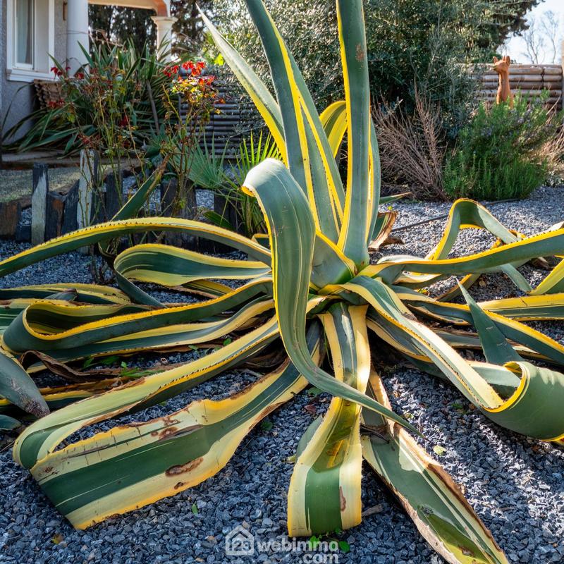 Villa - 152 m² - 5 pièces