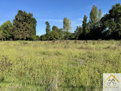 Terrain - 1 650 m²